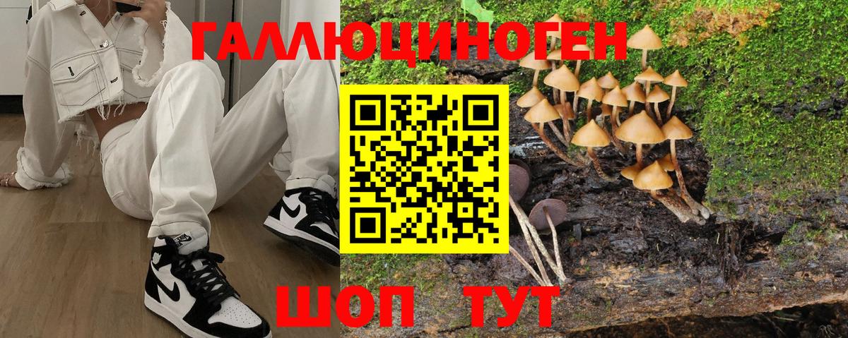 Галлюциногенные грибы Cubensis Орехово-Зуево